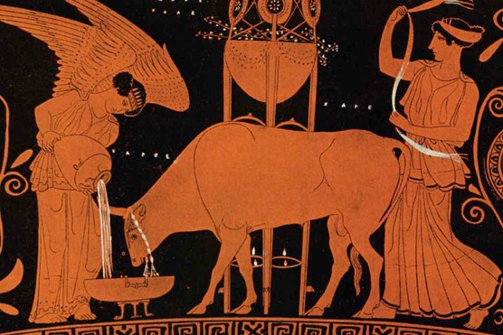 In ancient Greece, animal sacrifice and offerings were important ways to honour and appease the gods. (Image by Getty Images) An ancient Greek vase depicts animal sacrifice of a cow by two women
