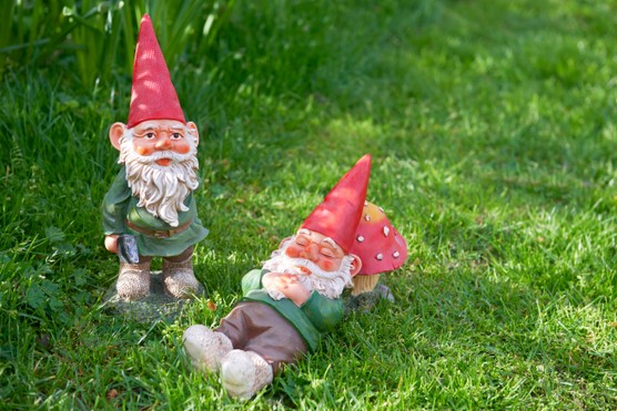 Two garden gnomes on grass