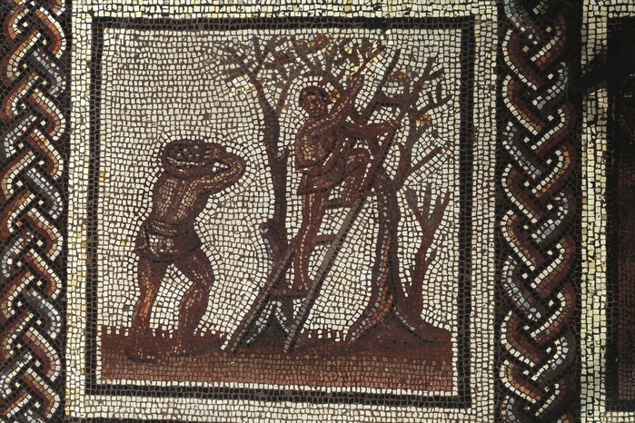 This Roman mosaic from Saint-Romain-en-Gal depicts figures harvesting apples.