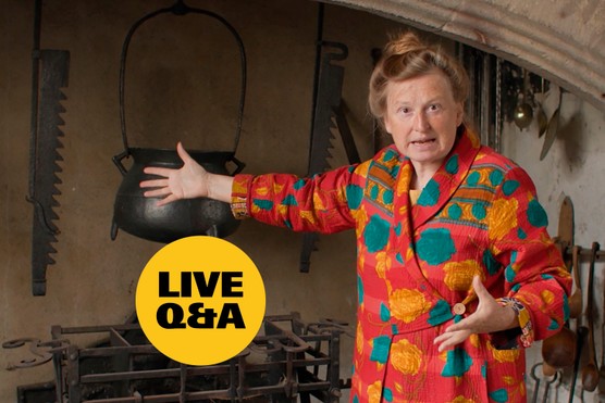 Live Q&A WL_1500x1000 AN+ 2