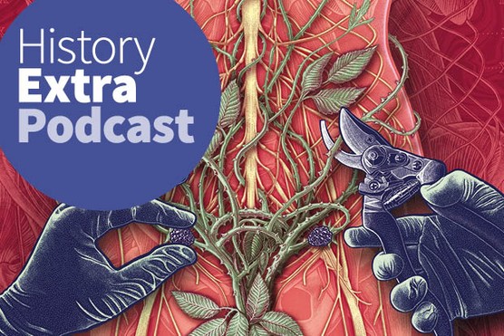 Elinor Cleghorn traces the long history of the misdiagnosis and mistreatment of women’s health issues, from the ancient world to the modern day. (Image by Getty Images)