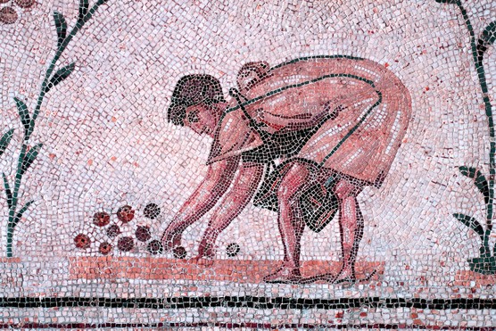 This 2nd-century AD mosaic from La Chebba, part of a larger scene showing the Triumph of Neptune, includes a boy gathering fruit — a small detail that reflects broader Roman ideas about health and diet. Fresh fruit played an important role in Roman nutrition, valued for its balance, seasonality, and association with natural well-being.